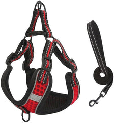 Y Strap Harness - Stylish Pet Comfort