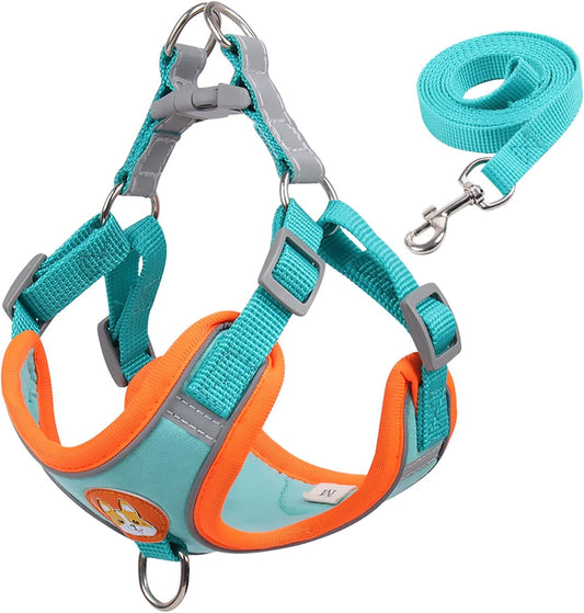 Reflective Nylon Dog Leash for Safety featuring a comfortable harness and matching leash