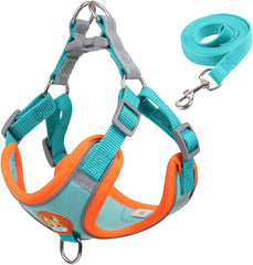 Reflective Nylon Dog Leash for Safety featuring a comfortable harness and matching leash
