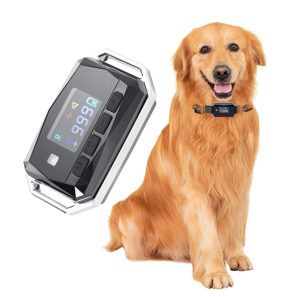 GF01 GPS fence collar with a dog wearing the adjustable collar